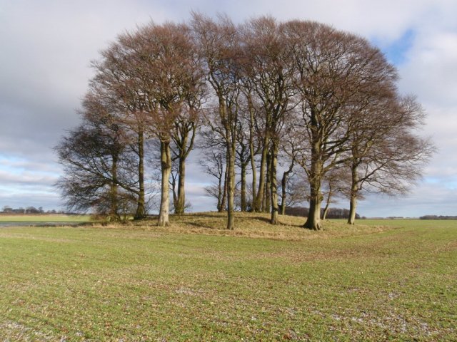 Bishop Wilton Wold