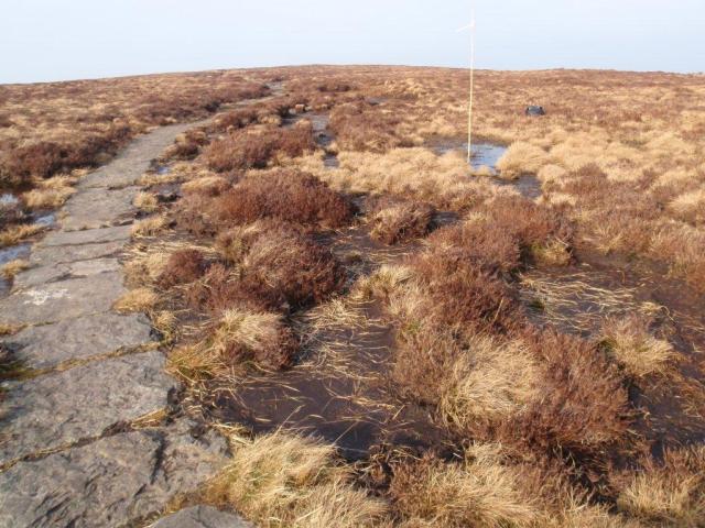 Black Mountains Ridge