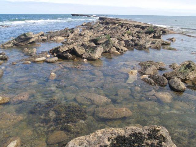 North Riding - East - Filey Brigg Island 